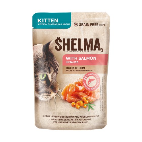 _0004_salmon-kitten.jpg